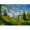 Schmidt CGS_58967 Puzzle, Multicolor