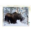CALVENDO Puzzle bianco muso 1000 pezzi Lege-Dimensioni 64 x 48 cm Foto puzzle Immagine di Philippe Henry