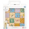 Rainbow Designs Official Peter Rabbit Wooden Building Blocks - Early Development Activity Toys for Toddlers - Beatrix Potter Stacking Bricks by Rainbow Designs