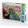 CALVENDO- Puzzle Fotografico, Motivo: Tartaruga Elisabeth, 1000 Pezzi, Colore Bianco, Teile, 4059478864184