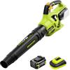 SnapFresh Soffiatore Senza Fili 20V Brushless con Batteria 5,0Ah e Caricabatterie, Velocità Variabile 290 km/h, 1164 m³/h, Leggero per Esterni