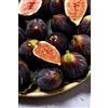 eGarden.store - Pianta vera di Fico o Fioreone o Ficus Carica diverse varietà 2 anni - Albero da frutta commestibile da coltivare in giardino o in vaso (Di Terlizzi)