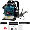 LENJKYYO Soffiatore a Scoppio 75,6cc 4 Tempi a Zaino, Aspirafoglie da Giardino 2,6kW 7000r/min, Soffiatore a Batteria Potente senza cavi, Aspiratore Foglie da Giardino con tubo lungo 168cm