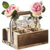 Loberon Reverie Set di 4 vasetti con Cassetta - Decorativo Look Vintage - Contenitore in Legno recuperato, Marrone/Trasparente