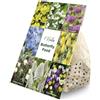 Bloomique - Mix di 50 - Fiori per 6 Mesi - Amico delle farfalle - Mix di 8 specie - Bulbi - Fioritura primaverile - Perenni - Cresce da 5 a 70 cm