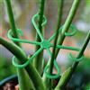 Generic 4 picchetti fissi in plastica per piante rampicanti, supporti da giardino, ramo di fiori e steli di fissaggio per vasi, 4 dimensioni (verde)