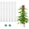 Generic 6 pali in plastica per muschio da 61 cm per Monstera, pali a forma di D per piante rampicanti, funzionano con muschio di sfagno, cravatte da giardino