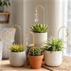 Generic 4 mini tralicci per piante con acchiappasole in cristallo colorato, 17 cm, decorazione per interni ed esterni, per casa, finestra, giardino