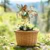 Generic Palo per piante in vaso in acrilico, ornamento decorativo per interni ed esterni, regalo ideale per abbellire giardini e giardini (AB-047)