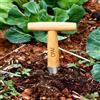 Generic Dibber - Dibber a mano per piantare semi, bulbi, tulipani, narcisi e fiori, in acciaio inox, con manico in legno, 28 x 11,4 cm