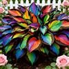 OJMUJDJ Hosta rari decorative, adatte a giardini, terrazzi e balconi-8bulbi-D