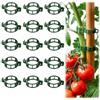 Generic Clip di supporto per piante, 100 pezzi, clip per piante rampicanti, traliccio in plastica, legacci da giardino, riutilizzabili, per pomodoro, uva, verdura, verde