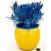 POWERS TO FLOWERS - LAVANDA COLOR LIFE BLU, IN VASO CERAMICA GIALLO, VASO 14CM DIAMETRO, piante vere