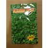 BOTTOS DICONDRA REPENS GR. 100