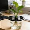Generic Supporto per rami di piante, 4 pezzi, stabilizzatori a rete, supporto per steli di fiori rampicanti, per la propagazione per coltivare peonie, coltivare piante di monstera, giardinaggio in vaso, serra