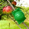 Generic 10 baccelli ad alta pressione per radici, palline di propagazione per talee e vivai, verde