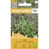 Organic Way | Miscela di fiori - LOW Sementi di fiori | Fiori nani estivi | Tappeto floreale colorato denso | Per sole e aiuole | 1 bustina