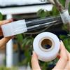 Generic 1 rotolo di nastro autoadesivo per innesto, giardinaggio, alberi da frutto, piante, piantine, nastro elastico in polietilene, 200 m x 3 cm