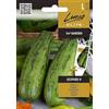 Lucia Elite | Zucchina - LEOPARD H Sementi per orto | Frutti verdi maculati | Varietà precoce produttiva | Per giardino e aiuole | Semi di zucchina | 1 bustina