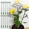 Generic 10 pali di supporto per piante, riutilizzabili, per fiori in vaso, ortaggi, steli, accessori di supporto per piante da giardino, S (17 cm)