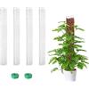 Generic 4 pali in plastica per muschio da 61 cm per Monstera, pali a forma di D per piante rampicanti, funzionano con muschio di sfagno, cravatte da giardino