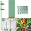 Generic 10 paletti per piante da 28 cm, lunghezza regolabile, per interni ed esterni, palo da giardino con 10 clip a scatto