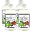 Generic Camomilla Torino - Feifan Ricarica Profumo 500 ml per Lampada Catalitica 25 Fragranze Naturali e Intense ad Alto Concentrato di Essenza- Made in Italy (Sandalo E BERGAMOTTO, 4 Flaconi)
