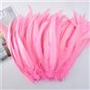 QBilooty Piume di Coda di Gallo Naturali 25-30cm Confezione 50 Pezzi Multicolori Lavate al Vapore per Carnevale, Halloween, Matrimonio e Acchiappasogni Lavoretti Manuali，Bianco，Rosa