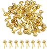 PATIKIL 80 PCS Fermacarte A Doppia Punta, 8 X 17 Mm Borchie Metalliche A Testa Tonda, Puntine per Scrapbooking Accessori in Pelle Decorazioni Fai da Te, Colore Oro