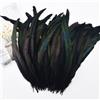 QBilooty Piume di Coda di Gallo Naturali 25-30cm Confezione 50 Pezzi Multicolori Lavate al Vapore per Carnevale, Halloween, Matrimonio e Acchiappasogni Lavoretti Manuali，Bianco，Nero