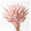 FENGCHUANG 60 Pezzi Decorazione in Erba di Pampas Essiccata Pianta Boho Fiori Secchi Naturali Pampas Decorative per Matrimonio Fiori Boho Decorazione della Tavola Domestica (Rosa)