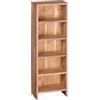 WOHNLING Porta CD Mumbai 30x17x90 cm Legno Massello di Acacia, 5 Scomparti | scaffale stretto per collezione musicale, libreria naturale in stile country, pezzo unico, scaffale in legno massello