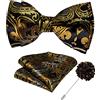 DiBanGu Papillon pre-annodato Paisley da uomo in seta regolabile papillon e gemelli quadrati da tasca per festa di nozze