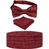 Alizeal Set regalo da uomo con papillon regolabile pre-annodato, fascia per cummerbund e fazzoletto quadrato da taschino