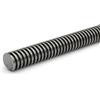 DOLD Mechatronik Vite di precisione trapezoidale RPTS 30 x 12P6 destra, filettatura trapezoidale, filettatura TR trapezoidale, lunghezza del mandrino: 50 mm