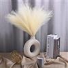 NOLACE 30 Pezzi 55CM Pampas Decorative Piume Beige | Fiori Secchi Lunghe Alte, Matrimonio, Soggiorno, Arredamento Boho-Nere