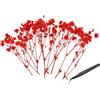 PATIKIL 30Pcs Mazzi Di Fiori Pressati Naturali Rossi Mini Kit Fiori | Da 4 Pollici, Per DIY Regalo Artigianato In Resina Decorazioni Natalizie, Di Gypsophila Essiccati, Con Pinzetta