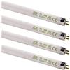 TBE Lighting Lampade fluorescenti T5 da 14 W, 549 mm, lampadine CFL, attacco G5 a 2 pin, lampade T5 ad alta efficienza, luce bianca 6500 K (confezione da 4)