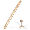 PH PandaHall 40cm Asta di Prolunga per Ventilatore da Soffitto in Ferro | 2.6cm Dorato Asta di Estensione per Ventilatore da Soffitto per Interno Esterno Sala da Soggiorno Camera da Letto