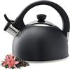 KADAX Bollitore in acciaio inox, 1,7 l, vari colori, compatto con tutti i piani cottura, modello retrò a flauto (antracite)