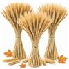 Minnhua 300PCS Spighe di Grano Decorative Fiori Essiccati Grano 40CM | Bouquet Fiori Secchi Naturali Fiori Finti da Interno per Decorazioni Casa Vaso Tavolo Matrimonio DIY