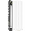 CLAR - Lampadina PLC Gemini L 36W Luce Fredda 6000K 2G11, 4 Pin, Non Regolabile (Pack 5)