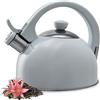KADAX Bollitore in acciaio inox, 1,7 l, vari colori, compatto con tutti i piani cottura, a flauto retrò (grigio)
