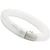 SYLVANIA NEON 32W CIRC.ATTINICO G10Q