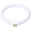 PFHSKLCWY Lampadina Tubi anulari T4 Anti-quattro pin 11W 110V e 220V Lente d'ingrandimento Luce G10q Piccole lampade da scrivania Lampadina Lampada ad anello fluorescente Bianca Illuminazione(11W)