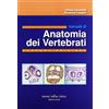 Antonio Delfino Editore Manuale di anatomia dei vertebrati