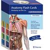 Thieme Medical Pub Anatomy Flash Cards, Latin Nomenclature: Anatomy on the Go