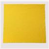Generic 15 panni in microfibra, colori assortiti, morbidi e spessi, 12,7 x 12,7 cm, giallo