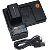 QIAO JIN LIN NP-FV70 Batteria al litio (2 pacchi) e caricatore doppio compatibile con Sony CX220 CX230 CX260V