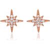 Diamond Treats Piccoli Orecchini a Forma di Stella in Argento 925, Orecchini a Stella per Donna e Ragazza, Eleganti Orecchini Donna con Pietre Zirconi in Argento, Oro Giallo o Oro Rosa.